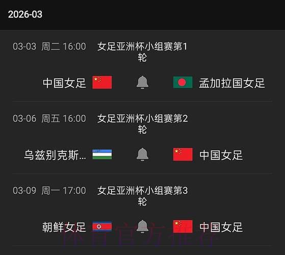 今日世界杯实时直播与最新赛况速递
